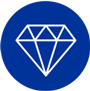 audit icon